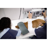 exame de raio x tórax felino preço Belenzinho