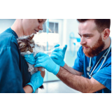 vacina contra raiva para gato Vila Santa Teresa