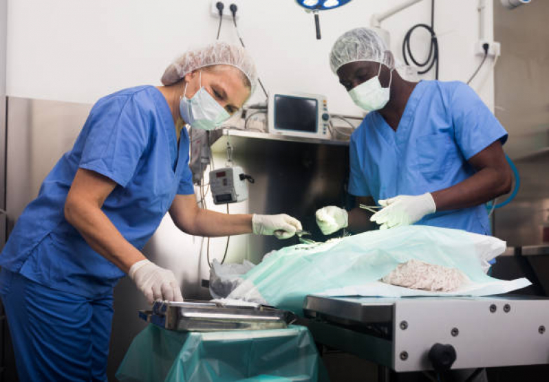 Cirurgia de Eletroquimioterapia Animal Marcar Vila Esperança - Cirurgia Mastectomia