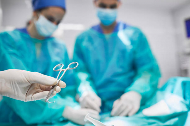 Cirurgia de Fratura Animal Vila Esperança - Cirurgia Mastectomia