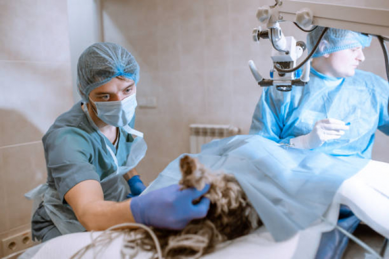 Cirurgia Mastectomia Vila Costa Melo - Cirurgia Obstrução Intestinal