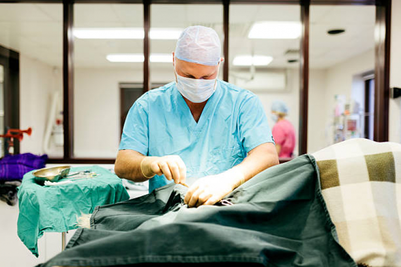 Cirurgia Piometra Marcar Vila Carlos De Campos - Cirurgia Obstrução Intestinal