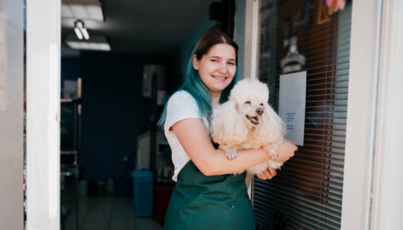 Pet Shop Banho Vila Authalia - Pet Shop Cães e Gatos