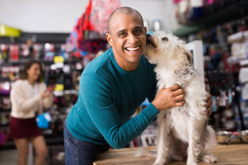 Pet Shop para Cachorros Contato Água Rasa - Pet Shop Cães e Gatos