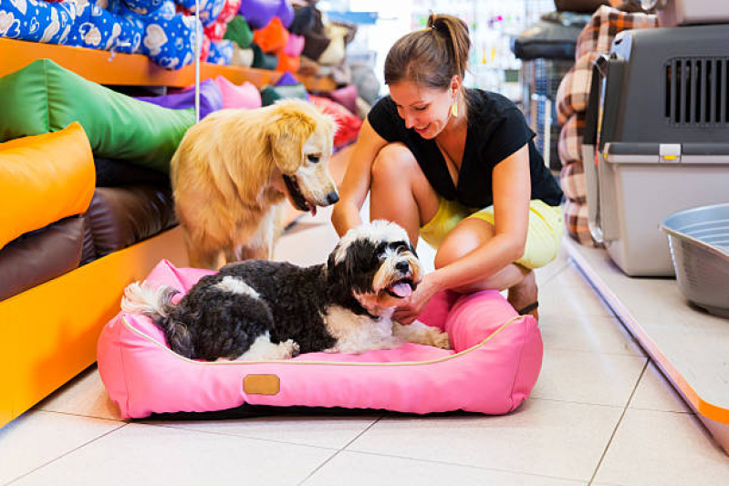Pet Shop para Cachorros Jardim Coimbra - Pet Shop Cães e Gatos