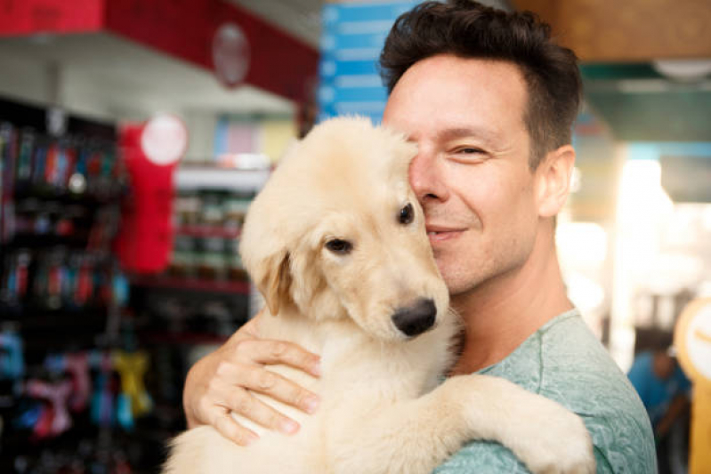 Pet Shop Perto VILA VELIMA - Pet Shop Cães e Gatos