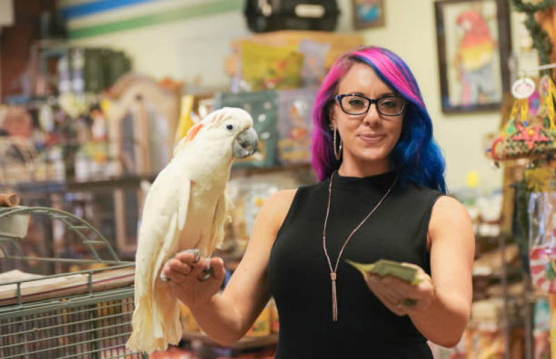 Pet Shop Próximo a Mim Vila São Francisco - Pet Shop Cães e Gatos