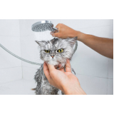 banho e tosa para gato telefone Vila Contanca