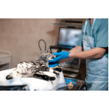 cirurgia criocirurgia Ponte Rasa