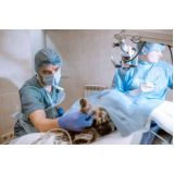 Cirurgia Mastectomia