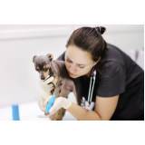 clínica veterinária pet contato Vila Dila