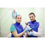 exame de raio x crânio gato preço Vila São Francisco