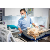 exame de ultrassom abdominal veterinário valores Vila Ema