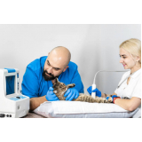 exame de ultrassonografia em cachorro valores Jardim Arthur Alvim