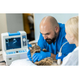 onde fazer exame de ultrassom abdominal gato Vila Authalia