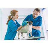preço de vacina antirrábica cachorro Vila Campanela