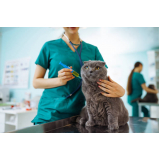 preço de vacina antirrábica gato Chácara Cruzeiro Do Sul