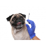 preço de vacina de gripe para cachorro Mooca