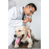 preço de vacina para carrapato em cachorro Jardim Avelino