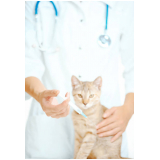 preço de vacina para gato Vila Dila