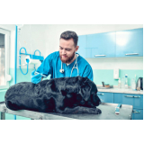 vacina antirrábica canina Vila Mesquita