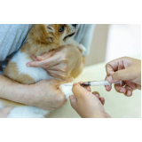 vacina cachorro filhote valores Vila Dalila