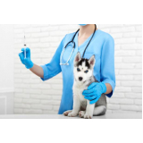 vacina contra raiva cachorro valores Vila Regente Feijó