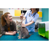 vacina contra raiva gato valores Parque Savoy City