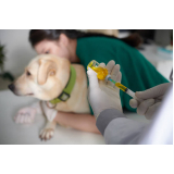 vacina contra raiva para cachorro Parque São Lucas