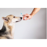 vacina da raiva cachorro valores Vila Germaine