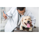 vacina de raiva para cachorro Vila Nova Manchester