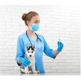 vacina para cachorro filhote valores Ponte Rasa