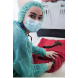 valor de cirurgia cistotomia para gatos Vila Moreira