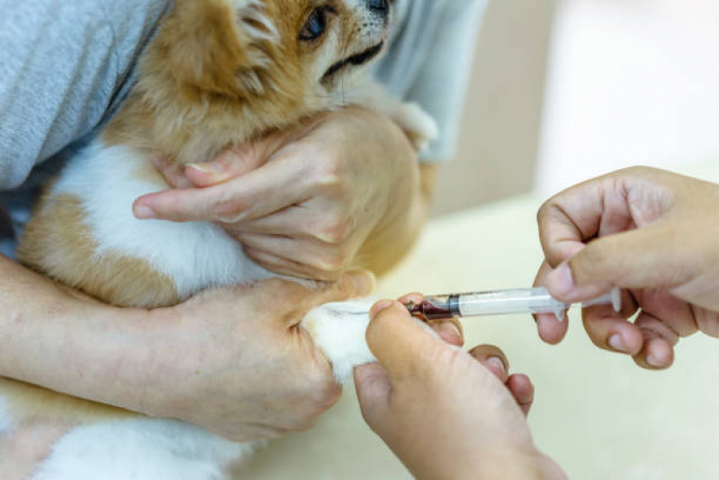 Vacina Cachorro Filhote Valores Vila Pierina - Vacina para Carrapato em Cachorro