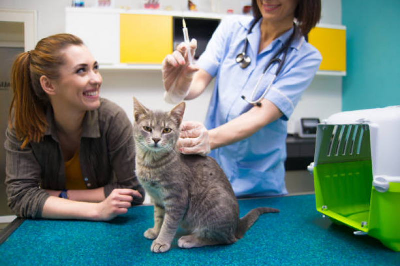 Vacina contra Raiva Gato Valores Parque Bristol - Vacina para Gato