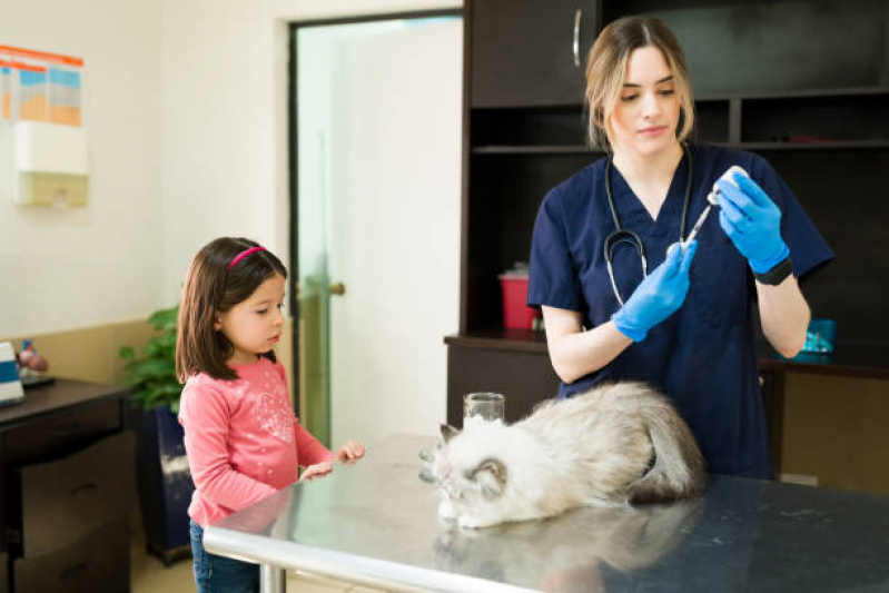 Vacina de Raiva Gato Penha - Vacina para Gato V4