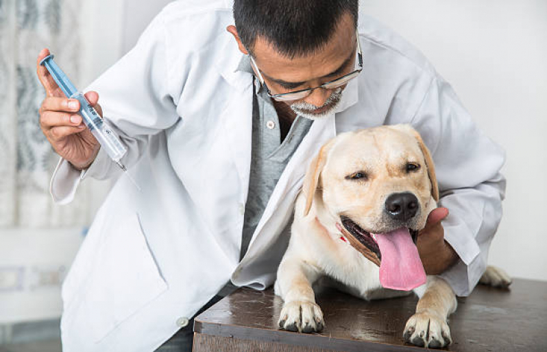 Vacina de Raiva para Cachorro Cidade Tiradentes - Vacina para Cachorro Zona Leste