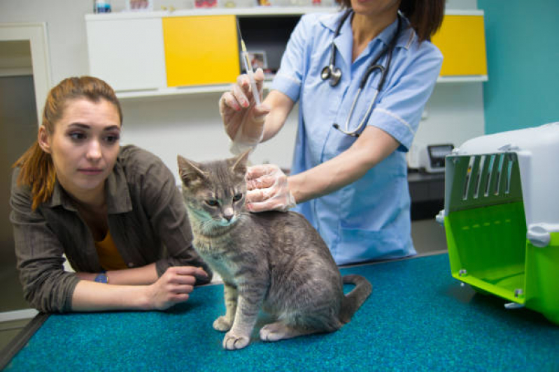 Vacina Gato Filhote Valores Jardim Três Marias - Vacina para Gato