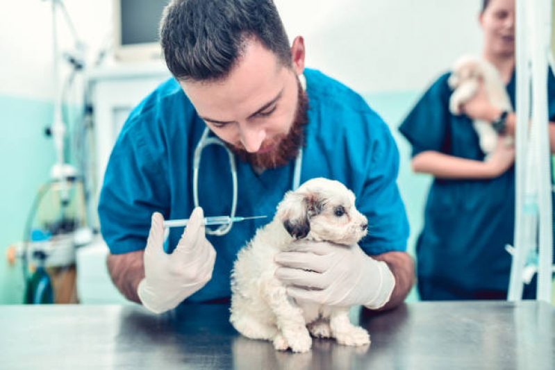 Vacina para Cachorro Filhote Parque dos Bancários - Vacina da Raiva Cachorro
