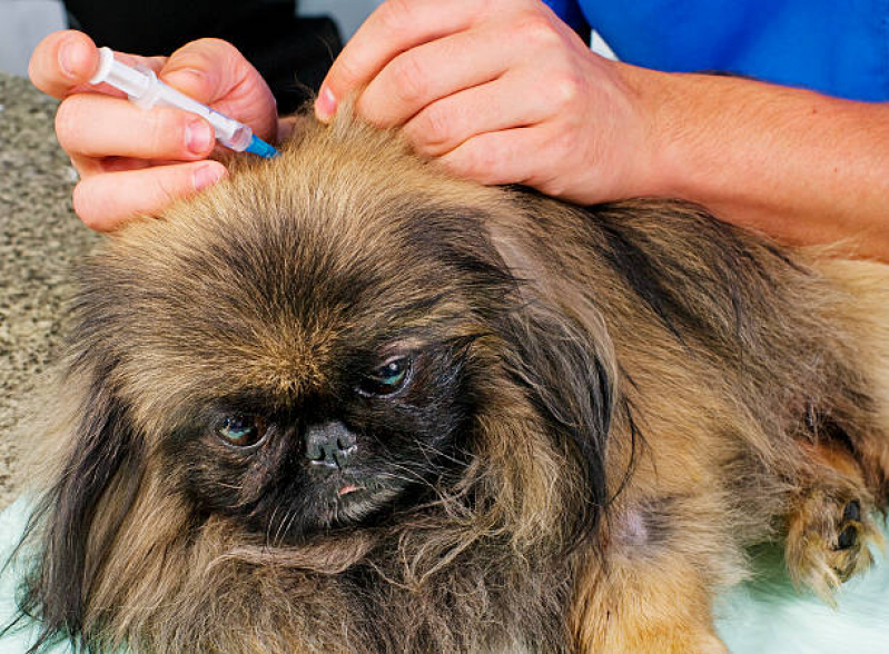 Vacina para Filhote de Cachorro Valores Jardim Assunção - Vacina para Carrapato em Cachorro