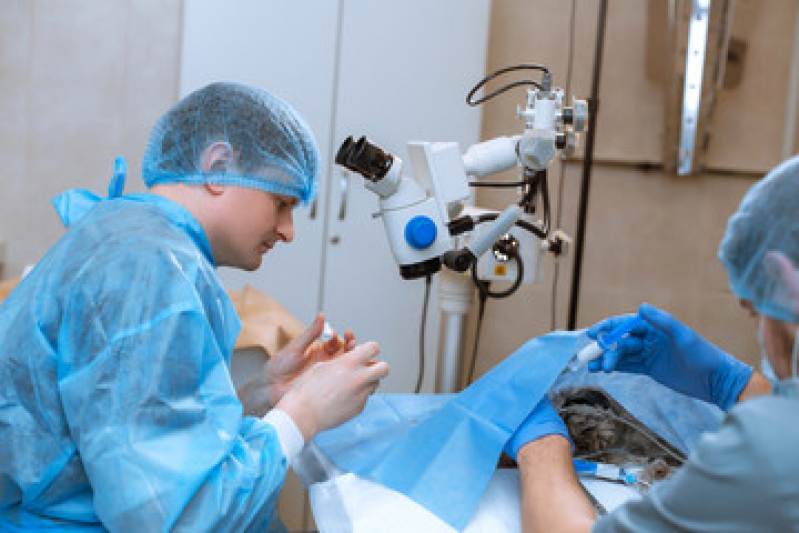 Valor de Cirurgia Criocirurgia Vila Zilda - Cirurgia Obstrução Intestinal