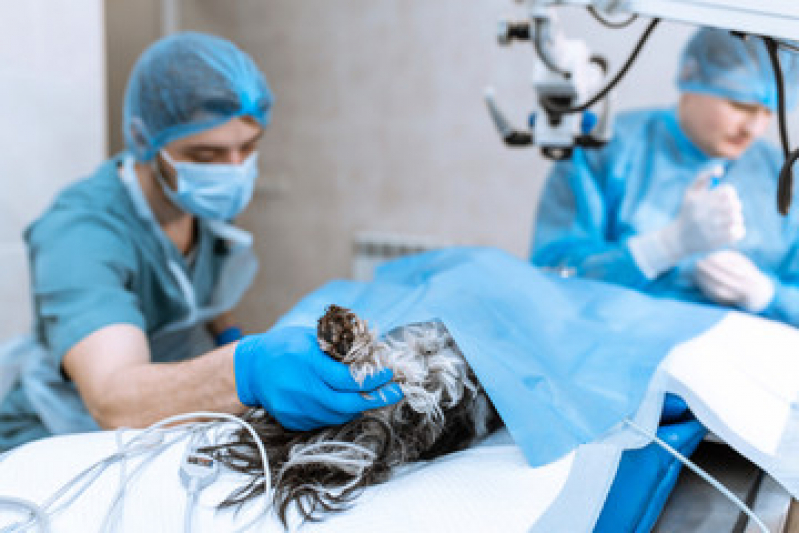Valor de Cirurgia Mastectomia Vila Lais - Cirurgia Obstrução Intestinal